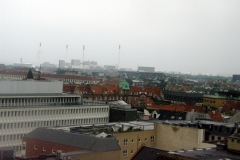 В Копенгагене принят план, по которому все плоские крыши (с углом наклона менее 30 градусов) подлежат обязательному озеленению.