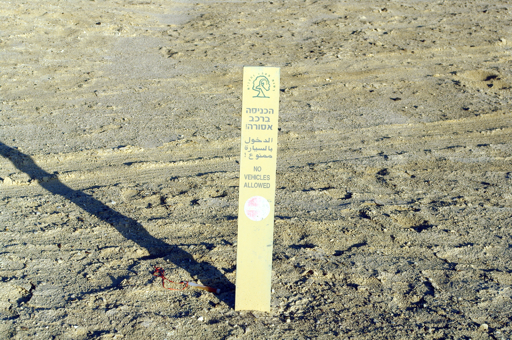 Написано, что транспортные средства запрещены, но следы от