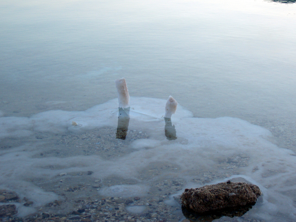 Все, что попадает в воду Мертвого моря сразу