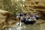 По выходным в ущелье Эйн-Бокек часто приводят большие группы школьников,