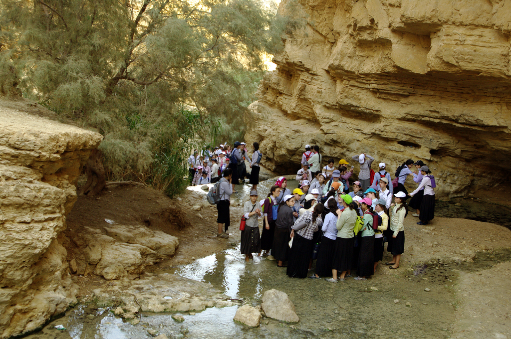 По выходным в ущелье Эйн-Бокек часто приводят большие