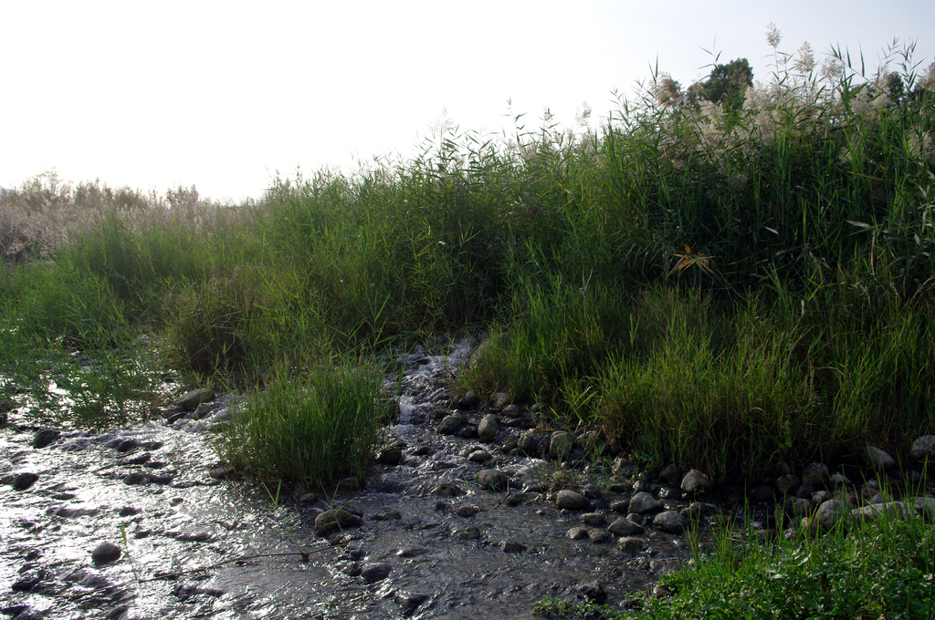 В озеро Кинерет впадает не только река Иордан,