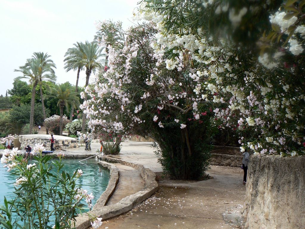 В парке можно наслаждаться не только водой, но