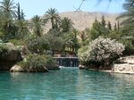 Изумрудная вода, цветы, пальмы, водопад – настоящий оазис среди выжженных