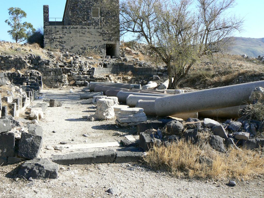 Сусита. Колонны базилики.