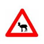 Так в Израиле предупреждают о возможном выходе на дорогу диких