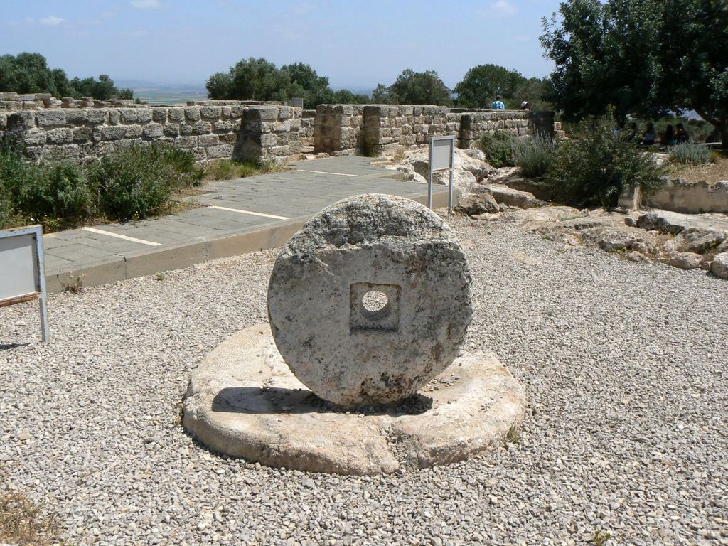 Пресс для отжима оливкового масла.