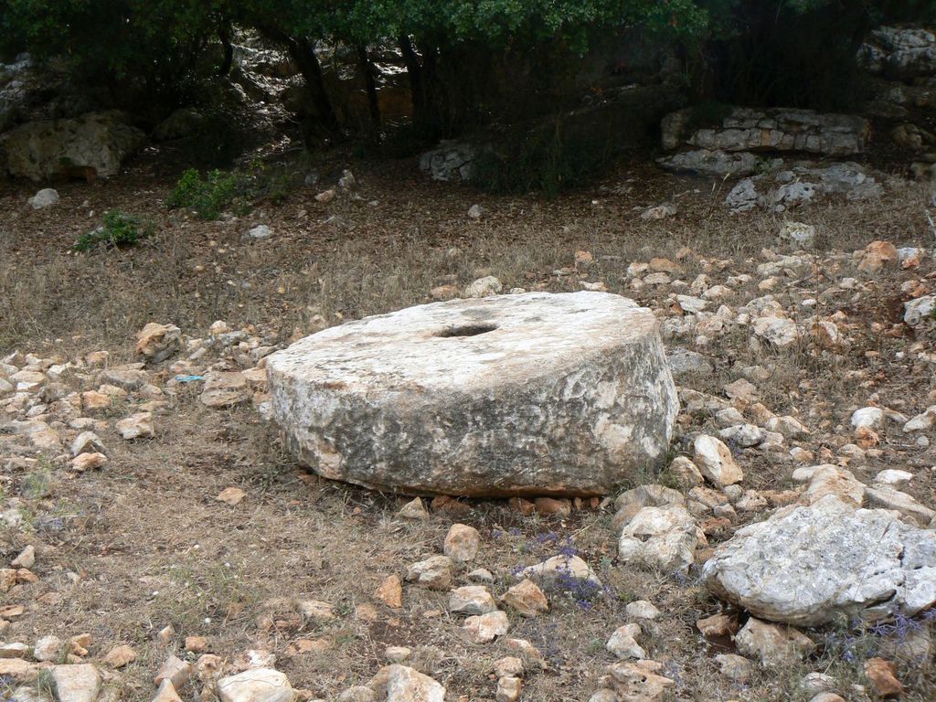 Маслобойный пресс