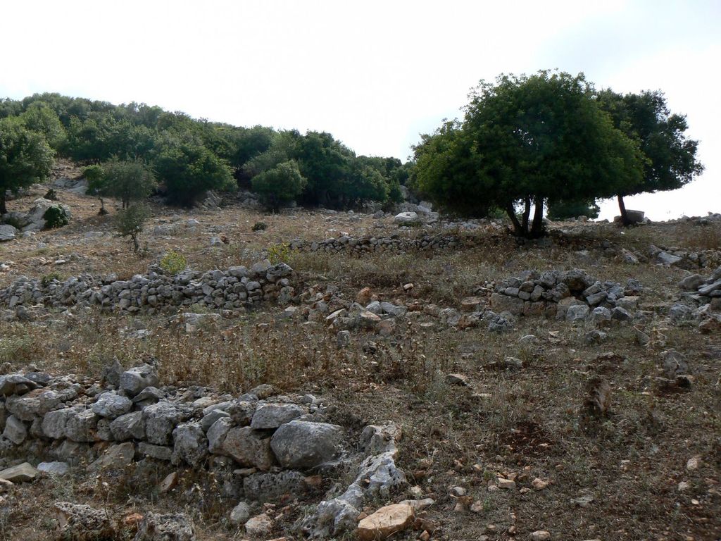 Древние террасы