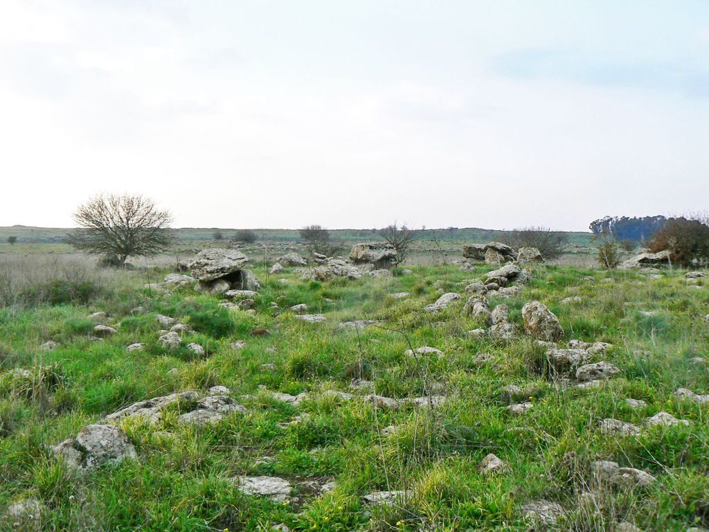 Поле дольменов недалеко от раскопок древней Гамлы.