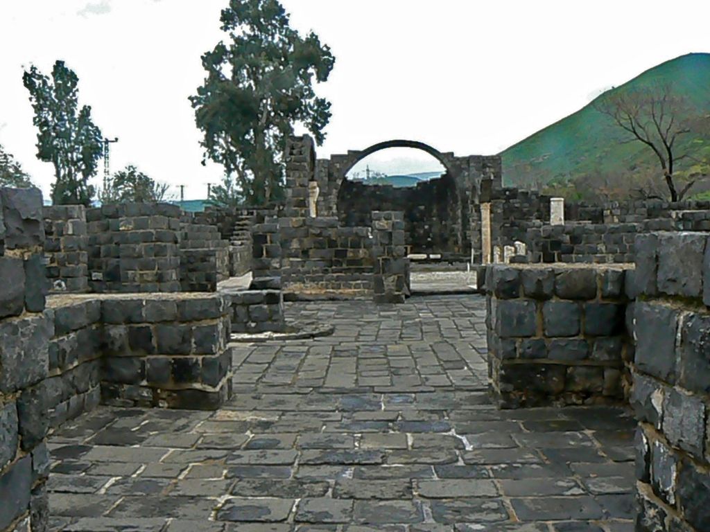 Развалины монастыря Курси.