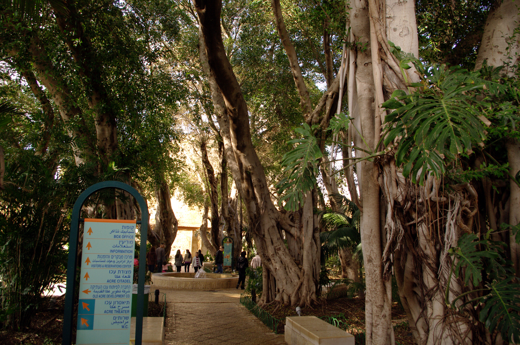 Акко. Волшебный сад на пути в город крестоносцев.