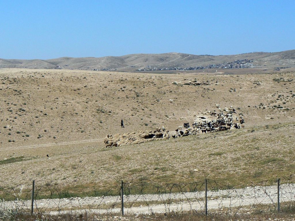 Вид на пустыню из древнего Арада.
