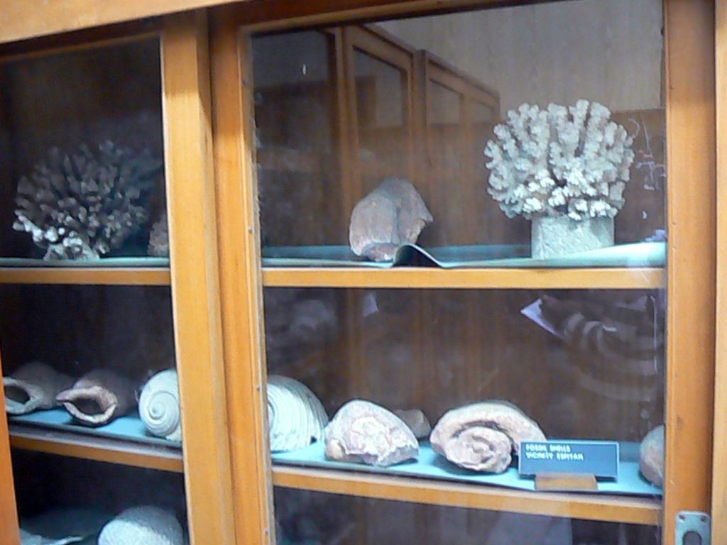 Музейные экспонаты монастыря кармелитов.