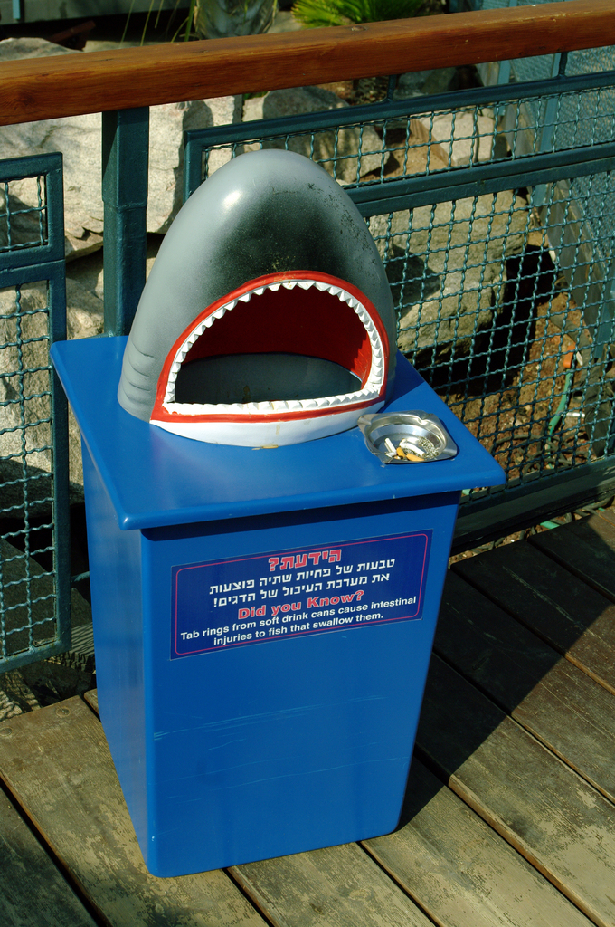 В эйлатской обсерватории даже урны "с морским уклоном".