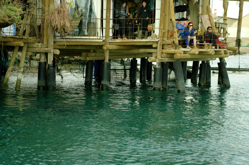 Персонал эйлатского дельфинария (Дельфиньего рифа)отдыхает в своем доме