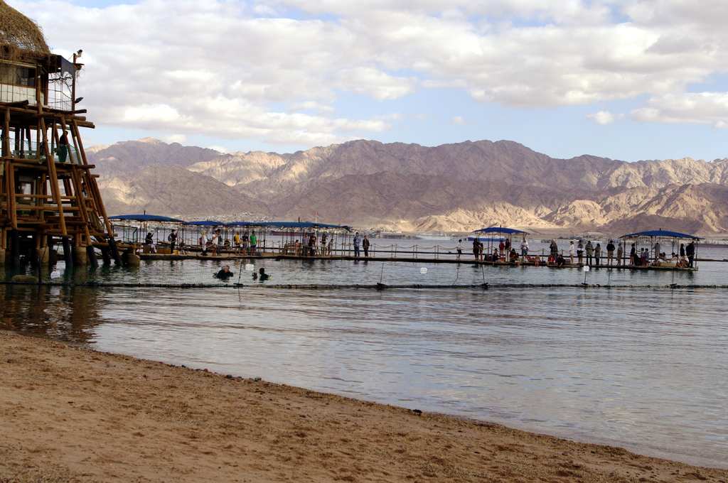 Между пляжем и "зоной дельфинов" протянута сетка. Но