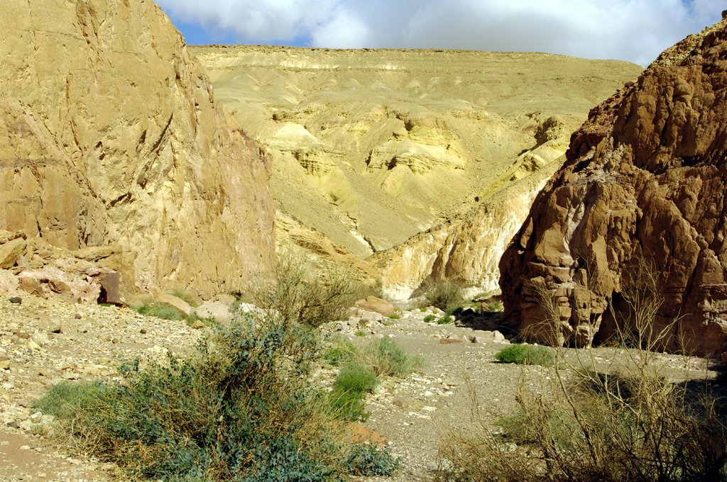 Вади Шани. Слово "вади" дословно означает пересыхающее русло