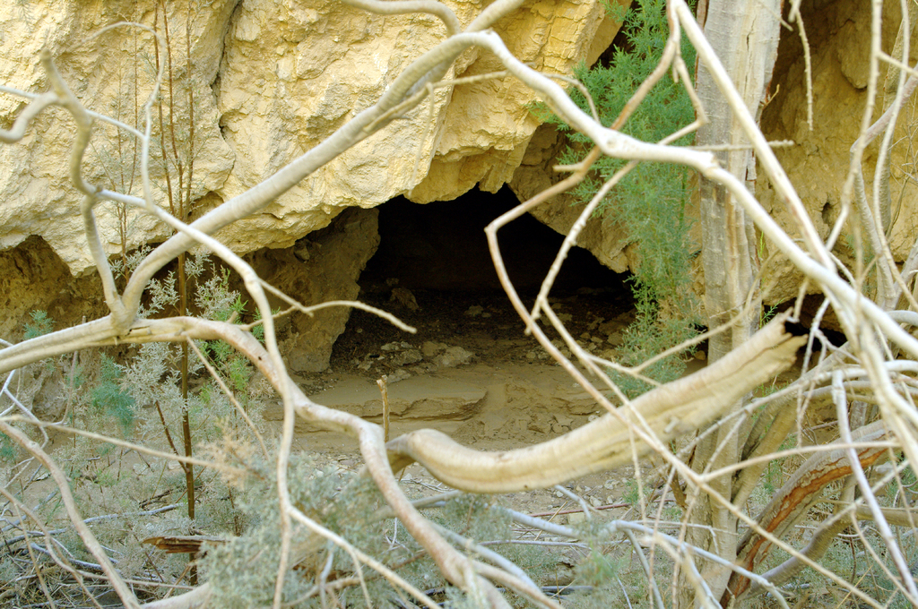 Похоже, тут живут какие-то звери. По крайней мере