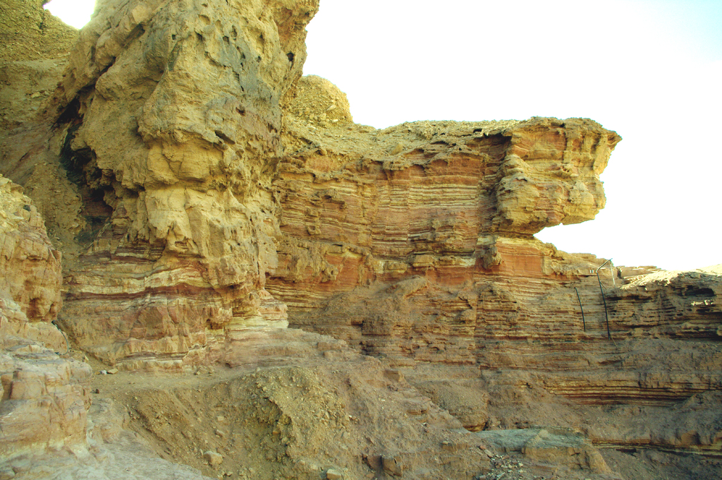 Возвращение назад оказалось более спортивным, чем проход по