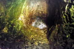 Рош Ха-Никра. Покипятившись,вода уползала обратно в дырку.