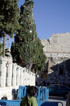 Снимок сделан через несколько дней после Рождества на площади у храма Рождества. Вместо рождественской ёлки - кипарис.