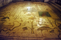 Наиболее впечатляющая и запоминающаяся часть интерьера церкви Умножения Хлебов и рыб - удивительно красивая, старинная, чудом сохранившаяся мозаика, в которой чувствуются египетские мотивы. Хотя бы потому, что в Табхе не встречается лотос.