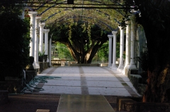 Галерея у храма 12 апостолов в Капернауме