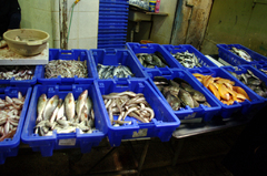 Торговля рыбой в морском городе Акко.