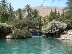 Изумрудная вода, цветы, пальмы, водопад – настоящий оазис среди выжженных солнцем гор. Это и есть Ган-ха-шлоша.