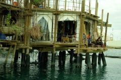 А в этом доме на сваях обитает персонал дельфинария. Кстати, собака - это, по-видимому, тот самый Джокер. Дело идет к обеду и некоторые дельфины подплывают к дому, чтобы персонал не забыл об очередной кормежке.