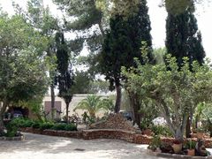 Сад при монастыре кармелитов Мухрака.
