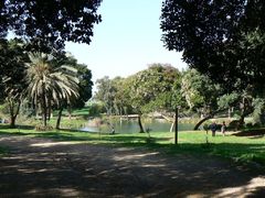 Озеро в национальном парке Яркон.