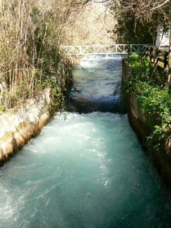 
Ручей Дан в заповеднике Тель Дан. 
