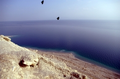 Берег Мертвого моря.