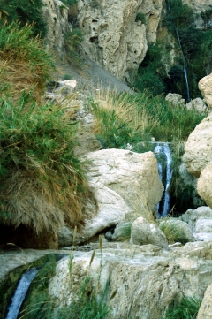 Водопады в ущелье Давид заповедника Эйн-Геди