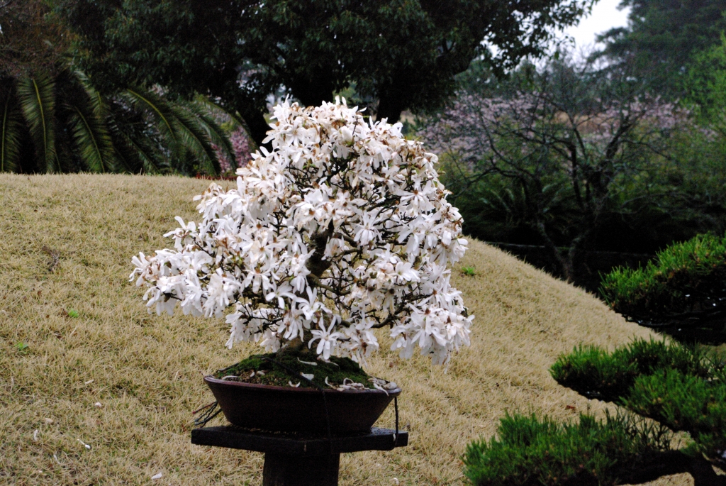 Мы были в Spirited Garden весной, в самом