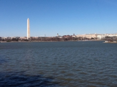 Водохранилище, регулирующее уровень реки Потомак, очень украшает центр Вашингтона