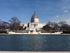 Капитолий, увы, тоже надо иногда ремонтировать