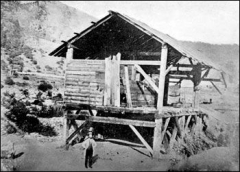 Злополучная лесопилка Саттера