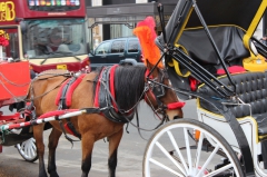 Эх, прокачу?