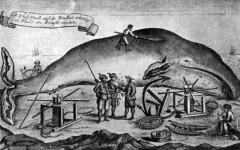 Охота на китов. Гравюра XIX века