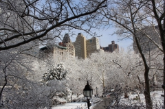 Централ-Парк после неожиданной мартовской метели