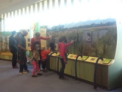 Вашингтон. Музей американский индейцев